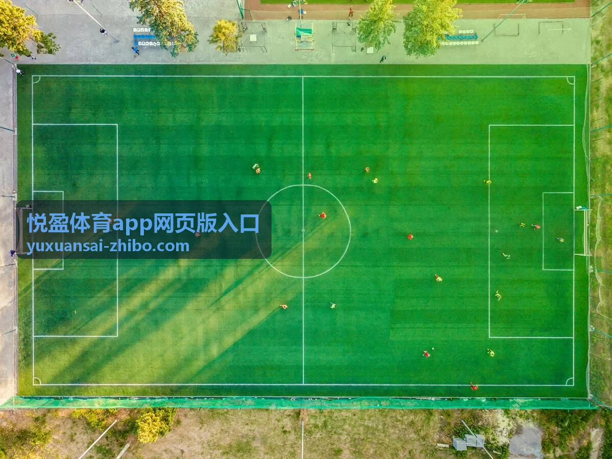 悦盈体育app网页版入口高清赛事直播背景